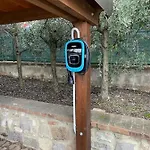 La Folaga Del Trasimeno *