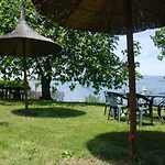 La Folaga Del Trasimeno