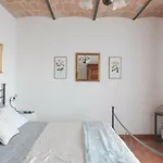 La Folaga Del Trasimeno Holiday home
