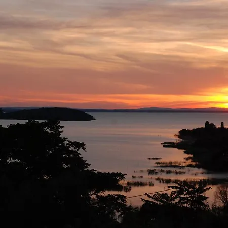 La Folaga Del Trasimeno