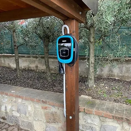 La Folaga Del Trasimeno *
