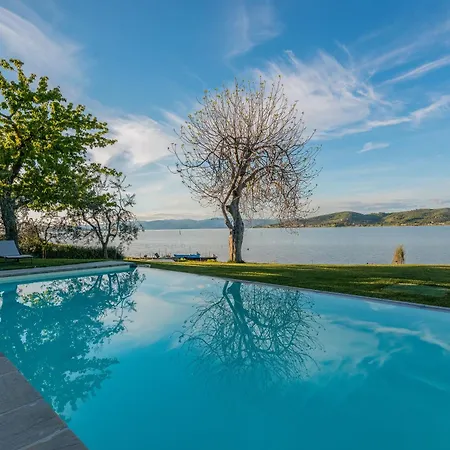 La Folaga Del Trasimeno