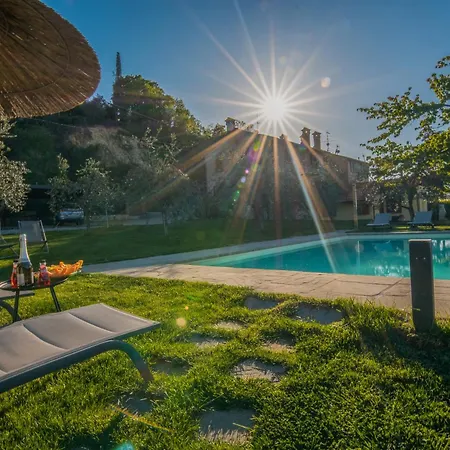 La Folaga Del Trasimeno *