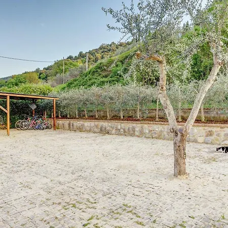 La Folaga Del Trasimeno *