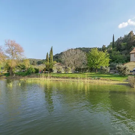 La Folaga Del Trasimeno *